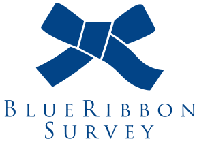 Blue Ribbon Survey